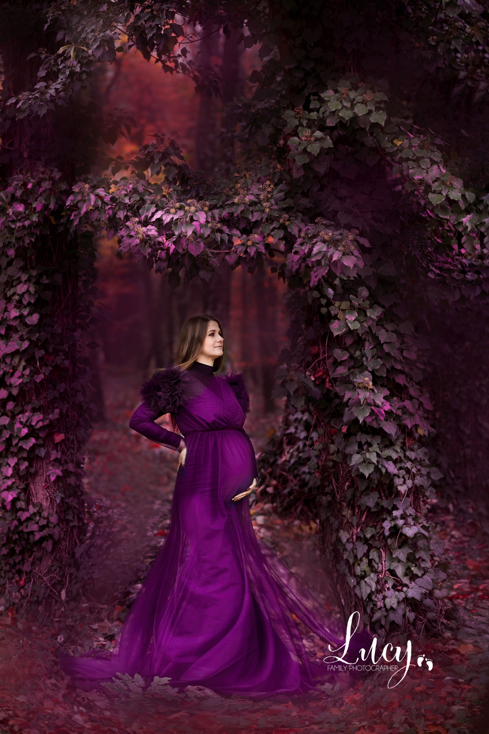 lorem ipsum dolor sit